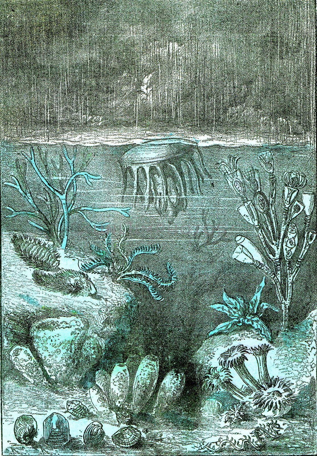 Ideal view of the land and the seas at the beginning of the Silurian period
