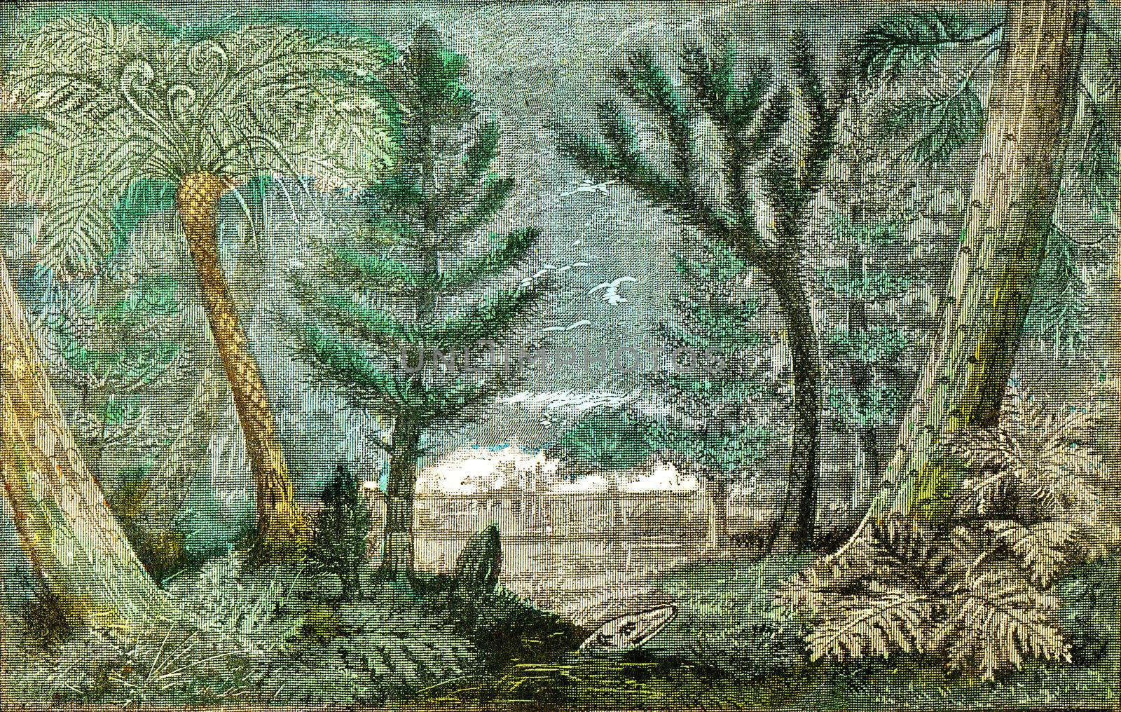 Ideal view of a marsh and a forest of the coal period, vintage engraved illustration. From Natural Creation and Living Beings.
