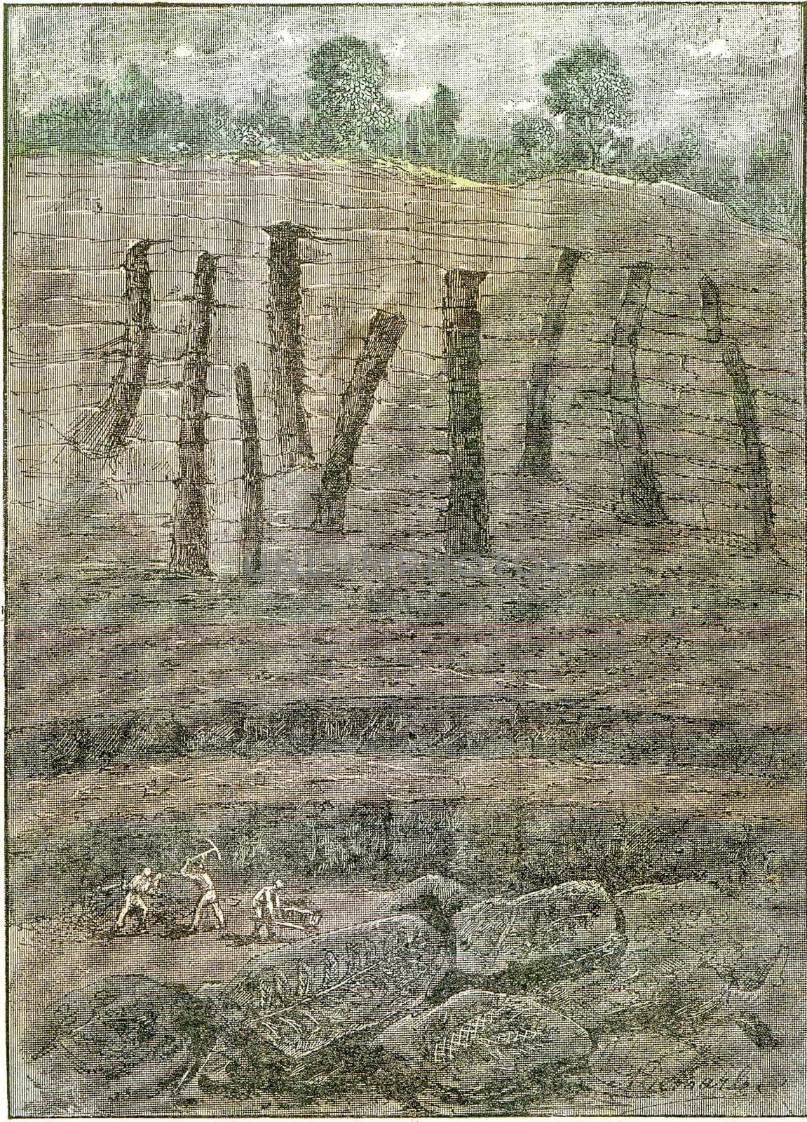 Trunks of fossil trees from the colliery period, in the old mine hoist a saint Etienne, vintage engraved illustration. From Natural Creation and Living Beings.
