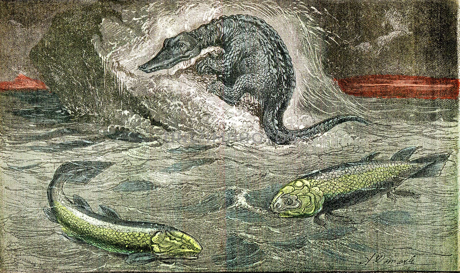 Transition from fish to reptiles, vintage engraved illustration. From Natural Creation and Living Beings.
