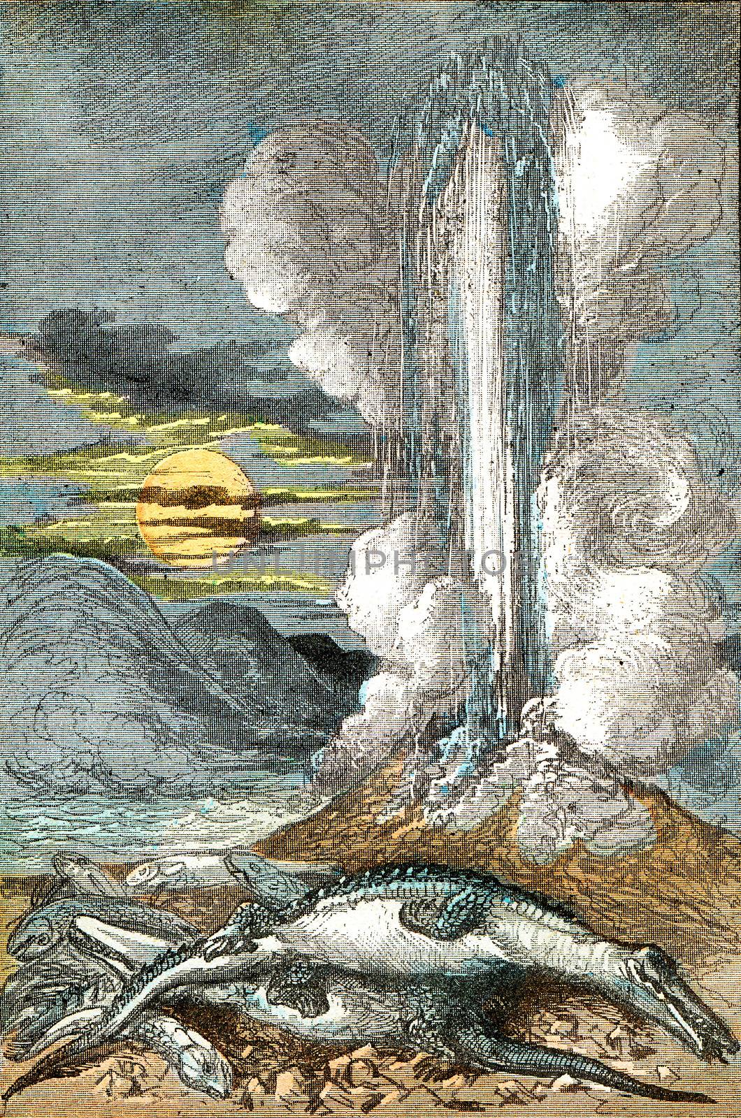 Eruptions of venereal thermal waters, at the period of the line, vintage engraved illustration. From Natural Creation and Living Beings.
