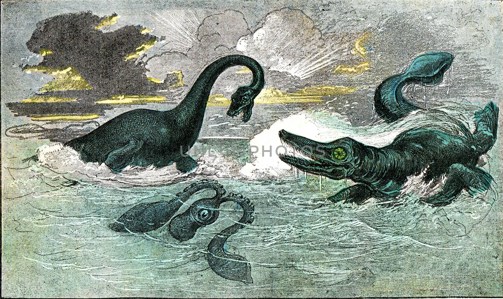 The plesiosaur and ichthyosaur of the period of the Lias, vintage engraved illustration. From Natural Creation and Living Beings.
