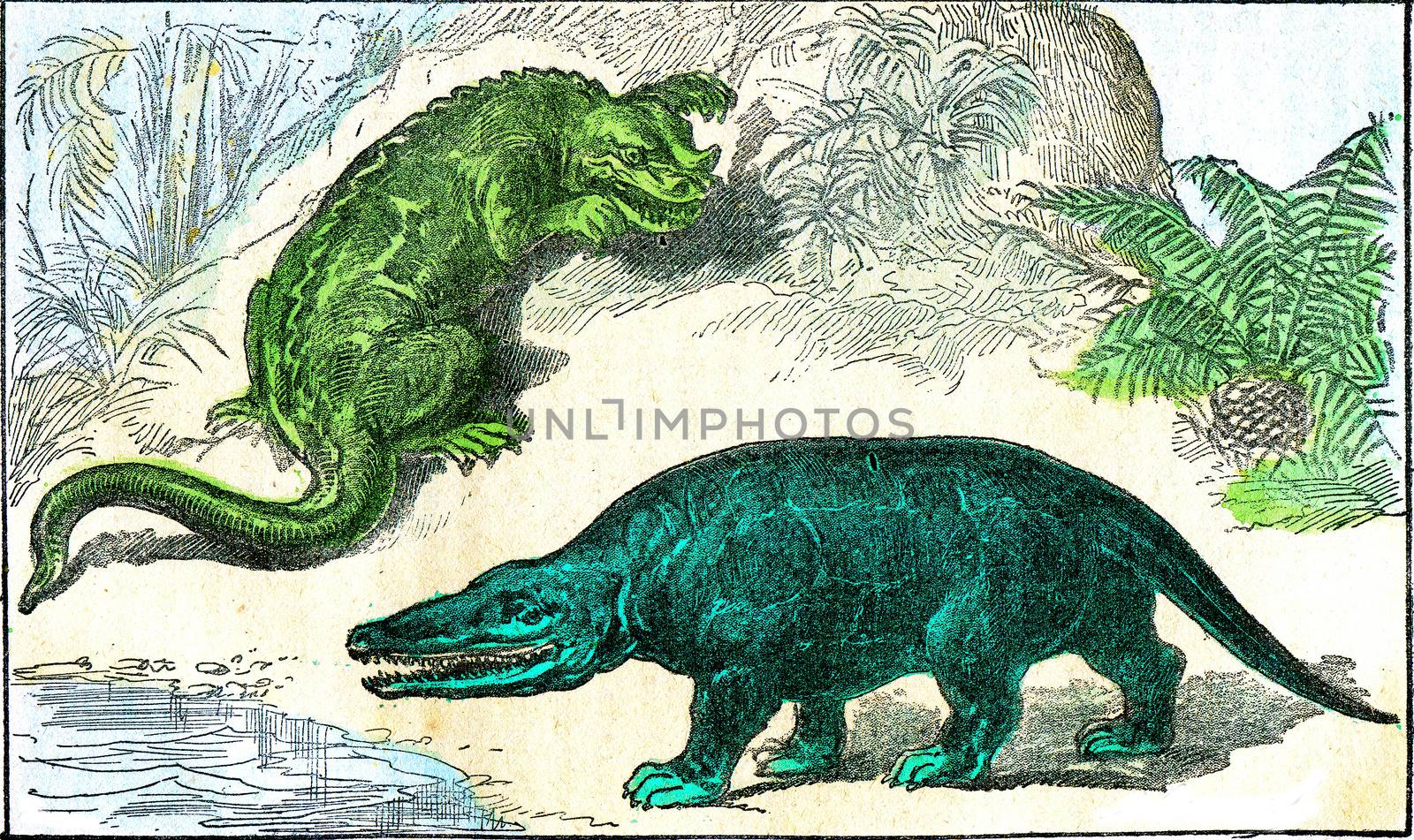 The iguanodon and the megalosaurus of the Cretaceous period, vintage engraved illustration. From Natural Creation and Living Beings.
