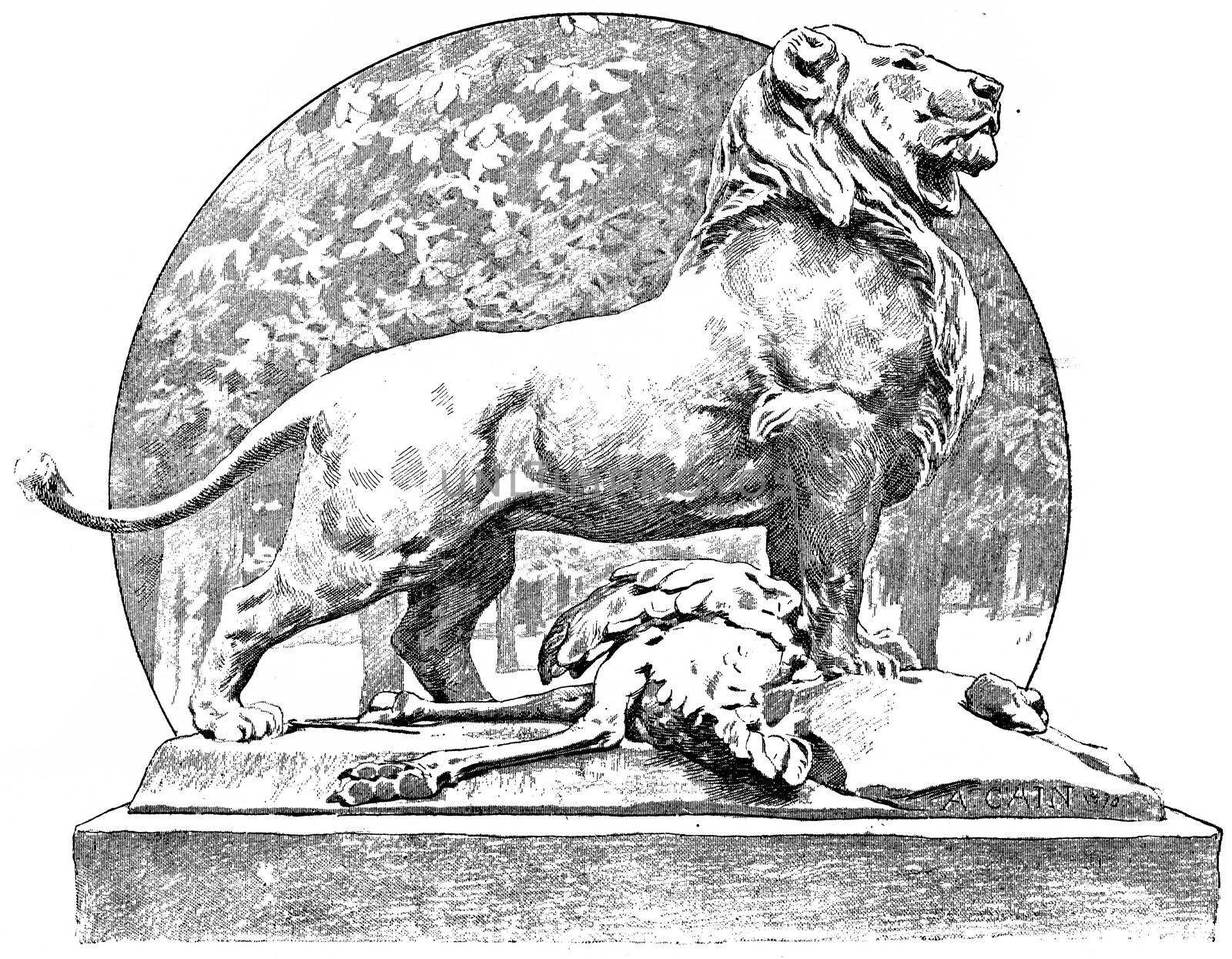 Cain a lion in the staggered Tuileries, vintage engraving. by Morphart