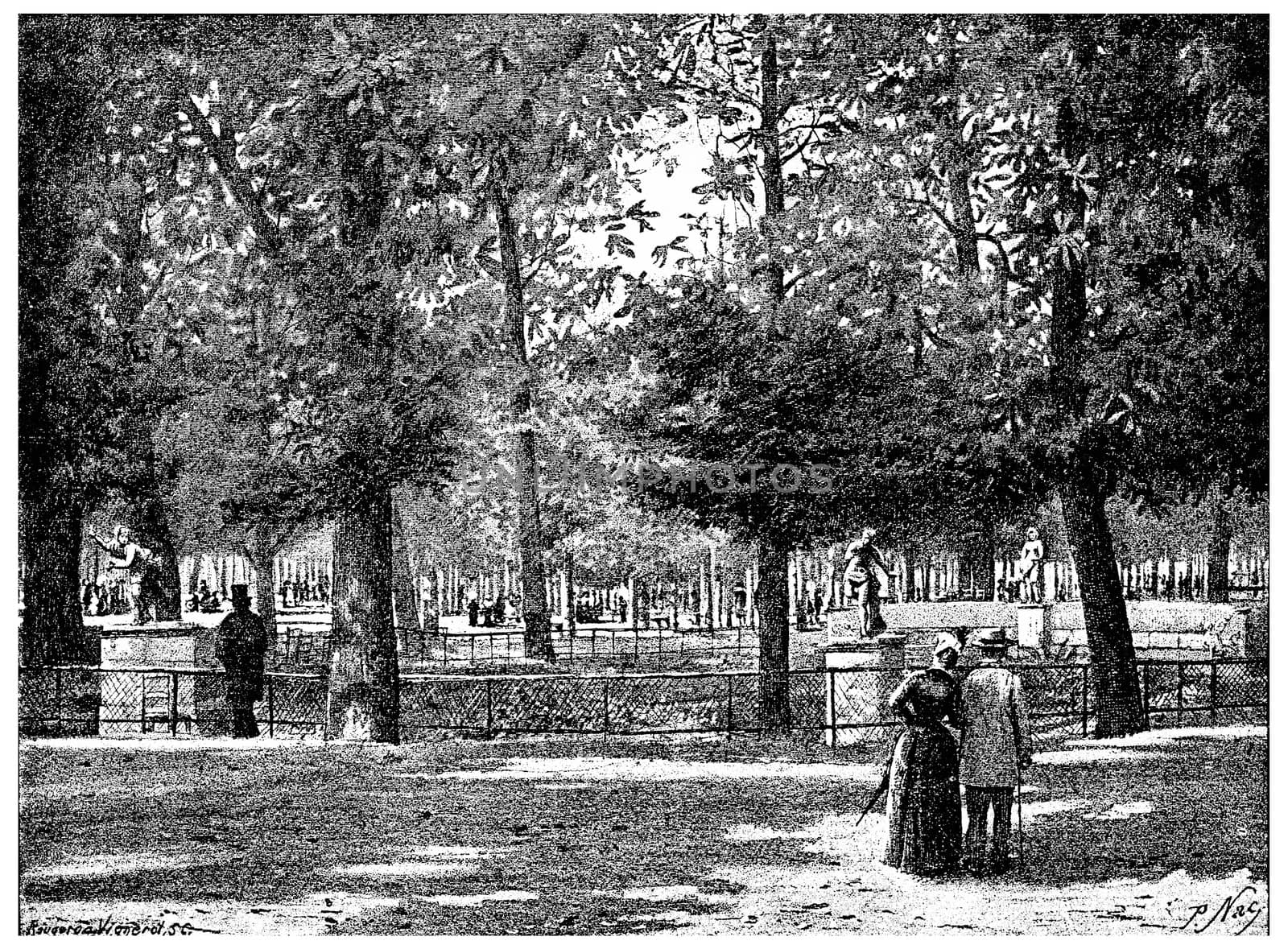 Under the chestnut trees of the Tuileries, vintage engraving. by Morphart