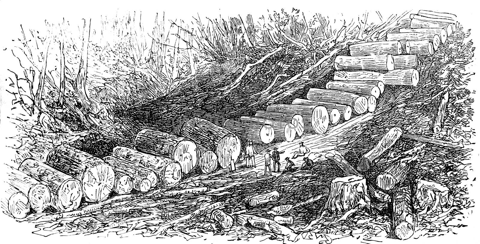 The wagon road, vintage engraved illustration. Journal des Voyages, Travel Journal, (1879-80).