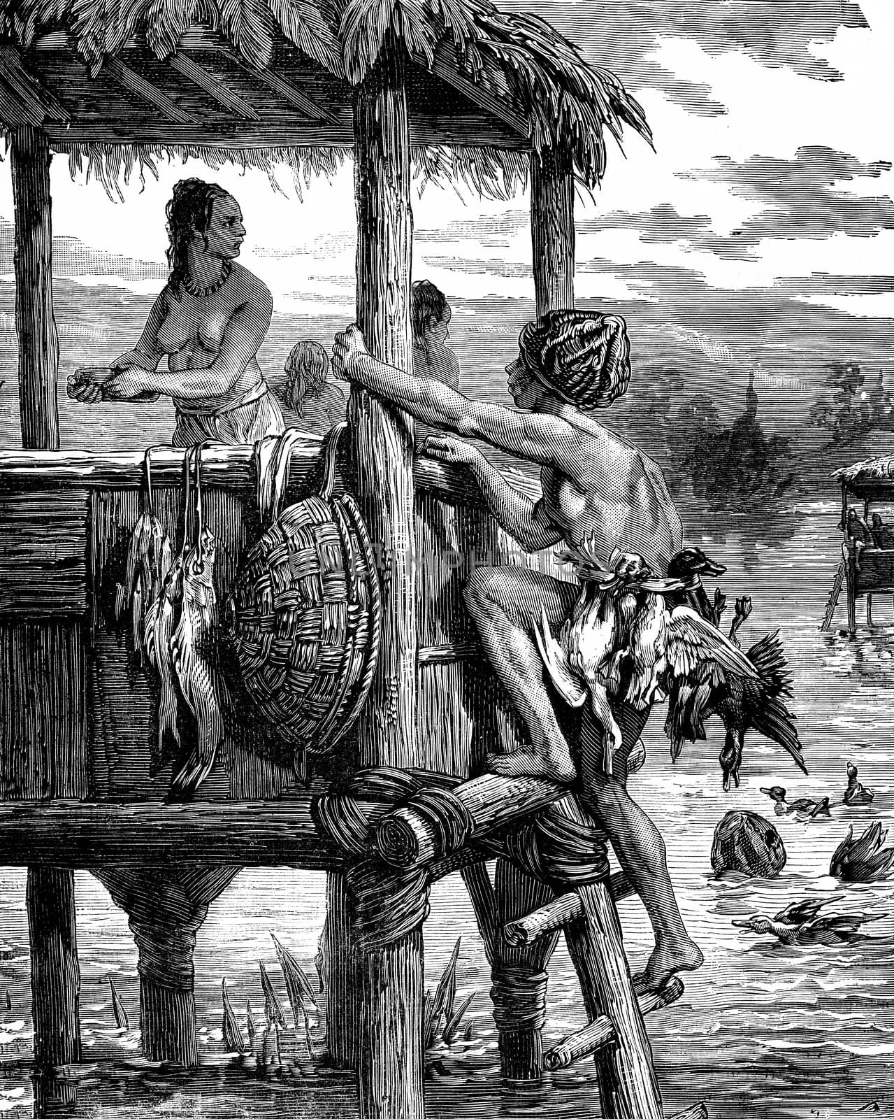 The inhabitants of the waters of Maracaibo. The Macaraibien returns home with his multiple prey, vintage engraved illustration. Journal des Voyages, Travel Journal, (1879-80).