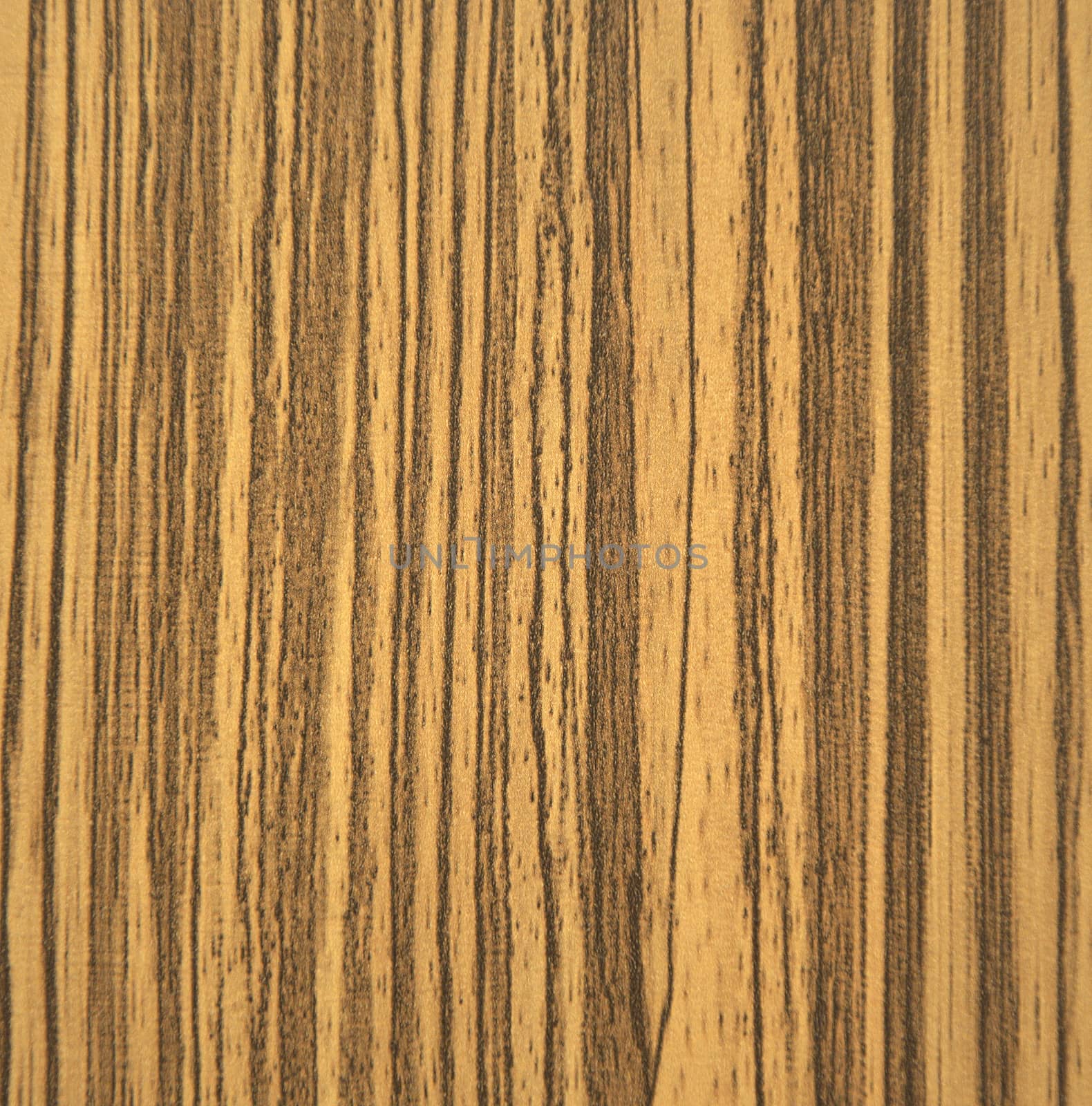 Striped oak, natural wood texture on a cut closeup. Background, texture.