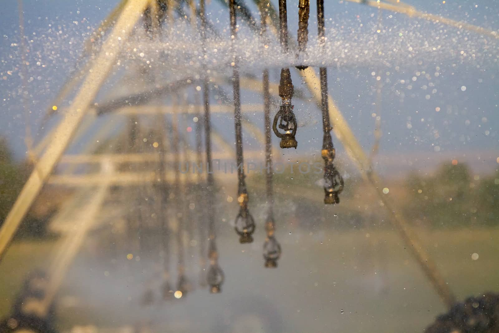 spray of water coming off an irrigation sprinkler