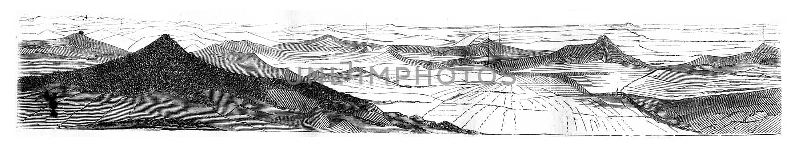 View of the east side, vintage engraving. by Morphart