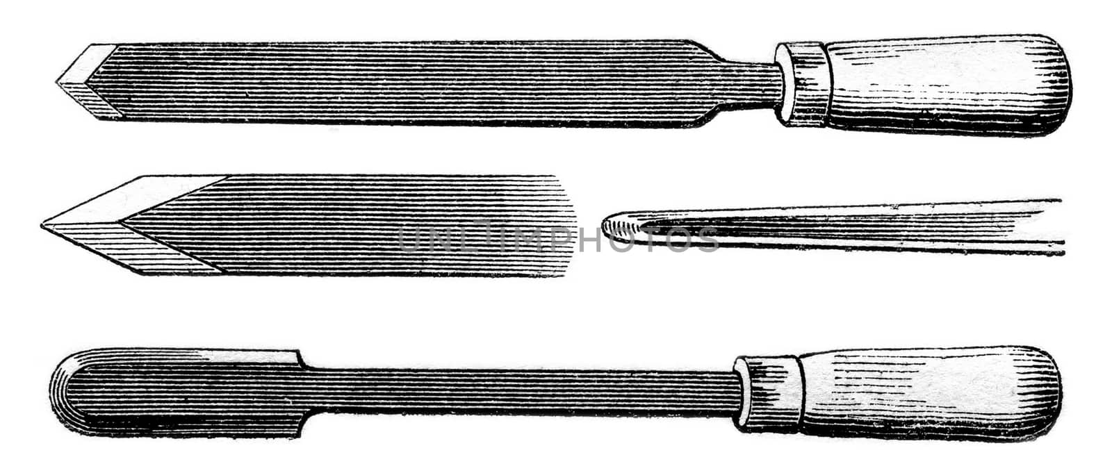 Barley grains shapes, vintage engraved illustration. Magasin Pittoresque 1853.
