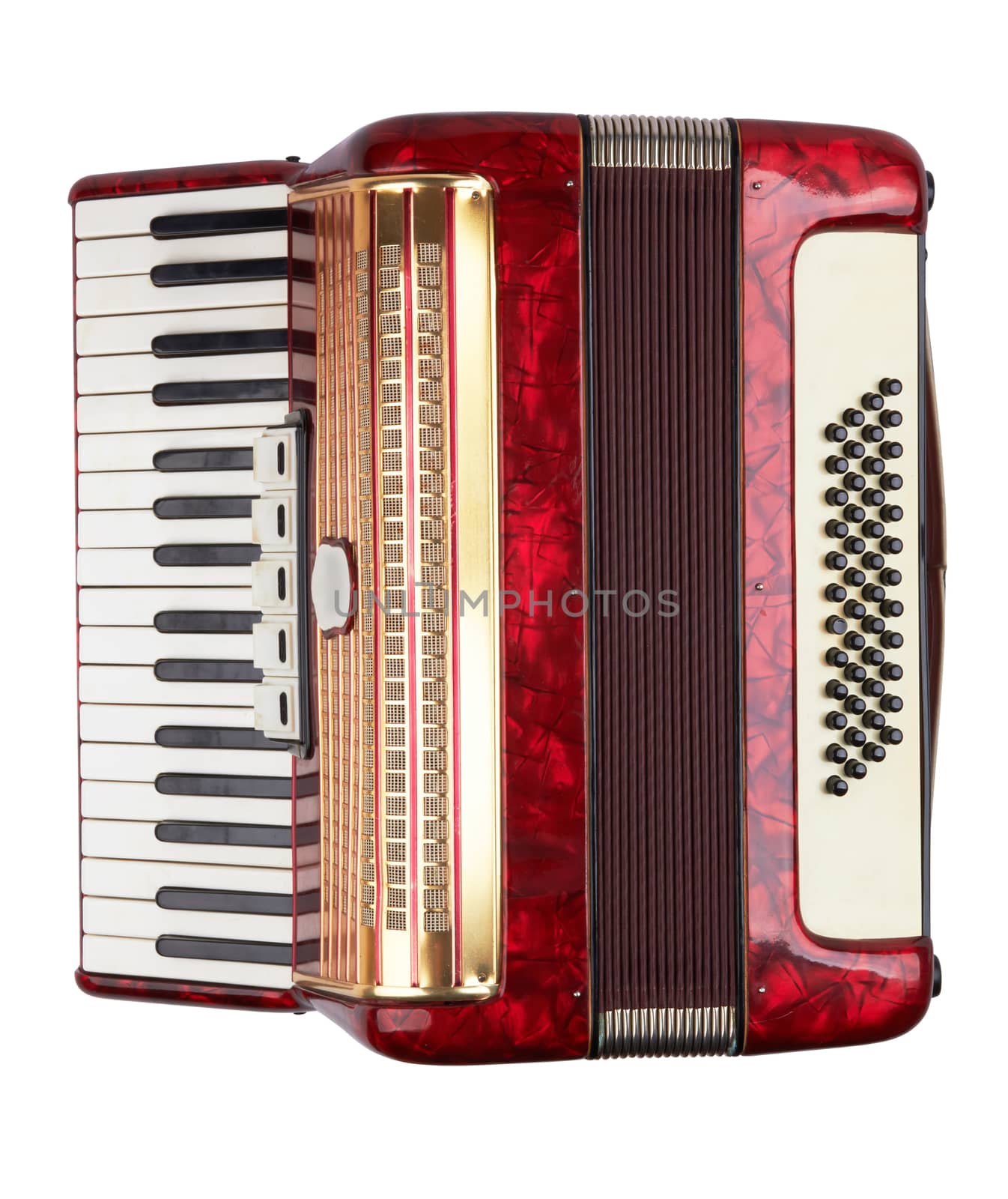 Retro accordion isolated by pioneer111