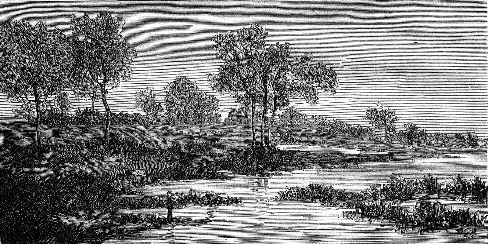 Landscapes by Fritz Van de Kerchove, vintage engraved illustration. Magasin Pittoresque 1876.
