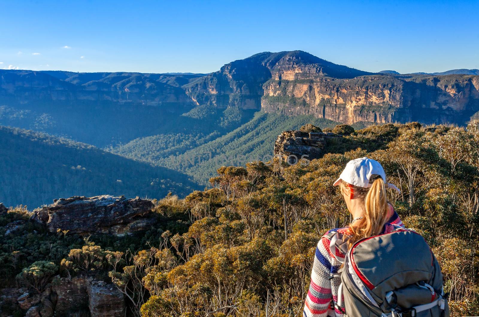 Scenic views across the Grose Valley to Mount Banks and escarpment cliffs with the typical blue hue caused by dispersed eucalpytus oil and water vapour scattering short wave rays of light - the majestic Blue Mountains