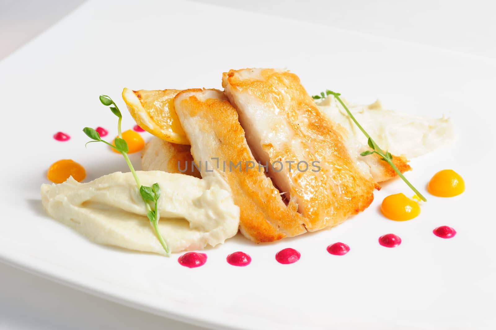 Fried zander with celery puree and sauce