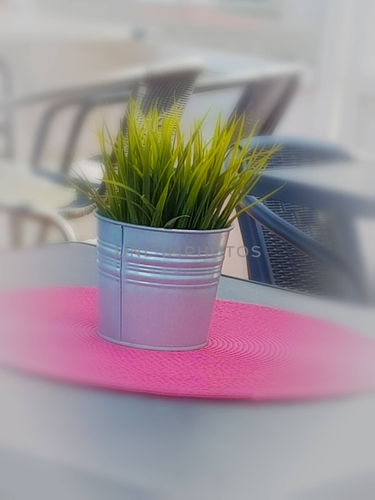 Flowerpot on a blurred background with vignetting
