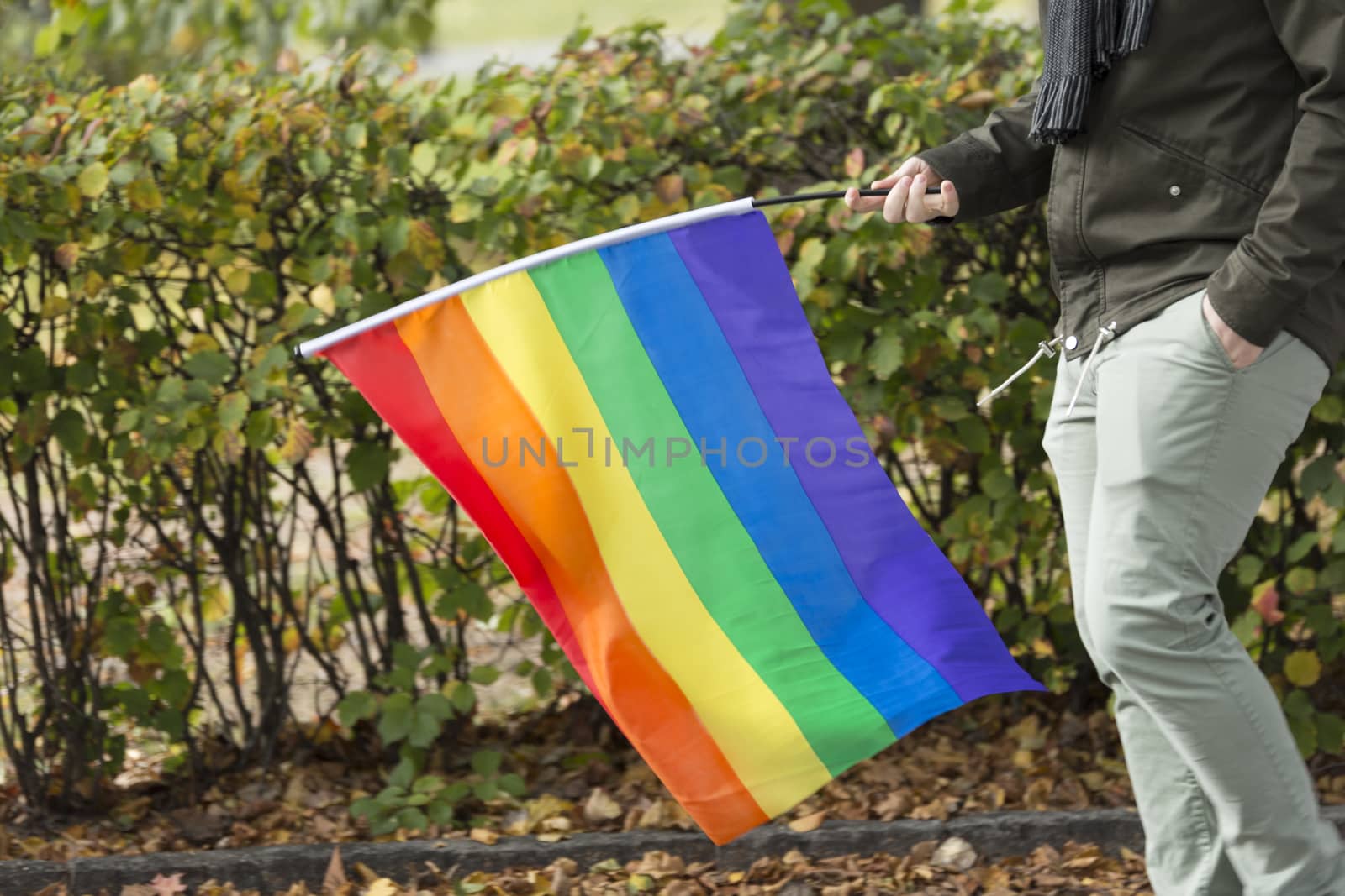 Person Carrying Rainbow Flag.