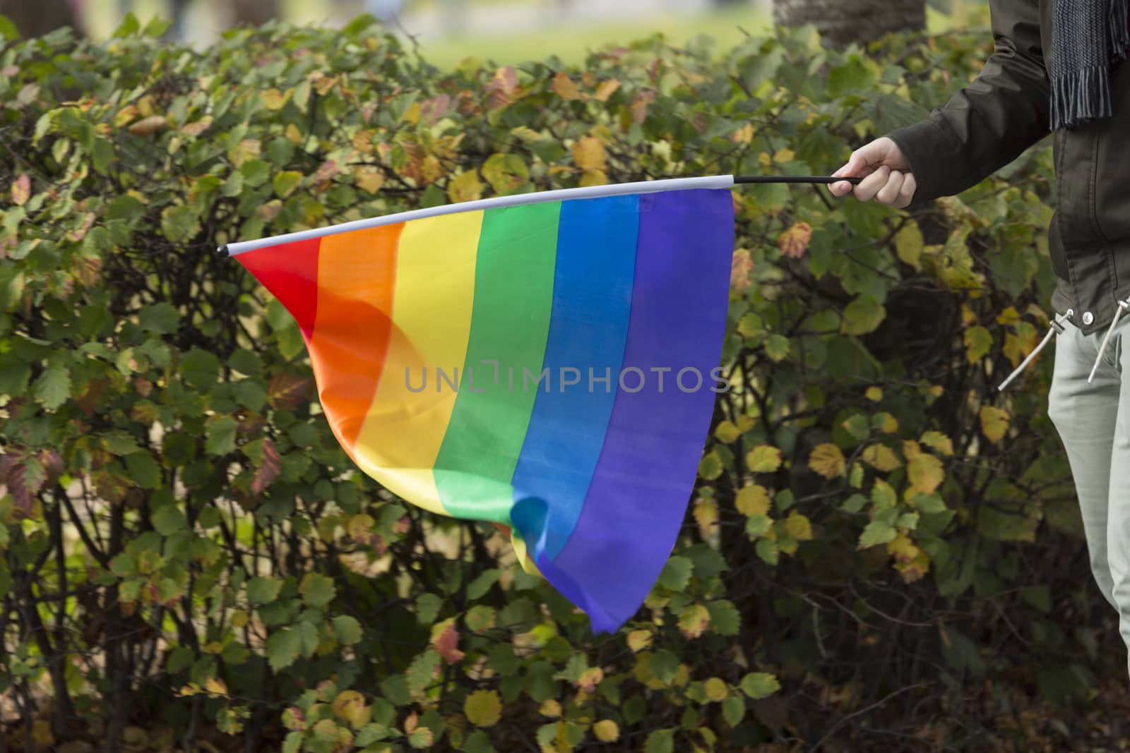 Person Carrying Rainbow Flag.