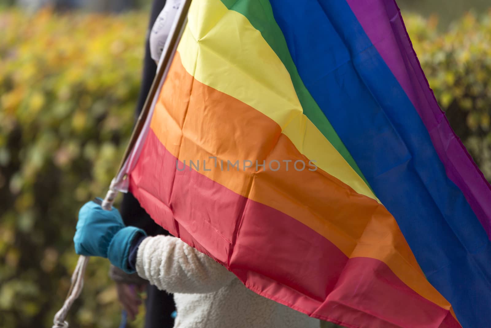 Person Carrying Rainbow Flag.