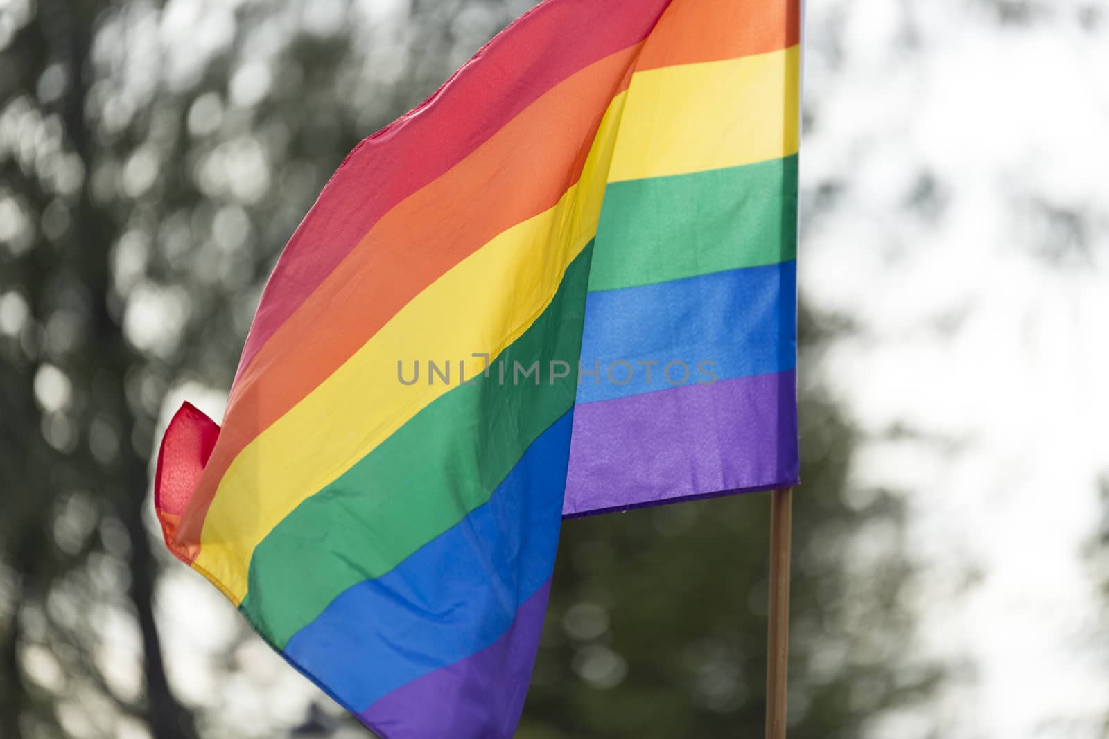 Rainbow Flag waving in the wind.
