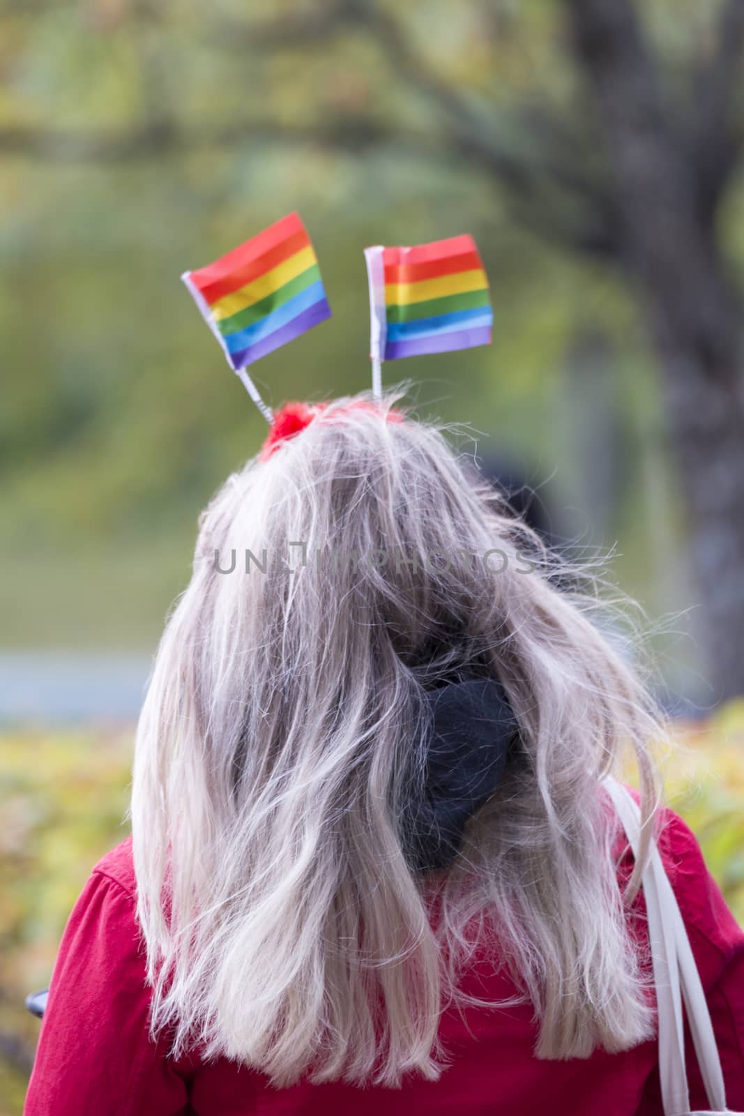 Female with Rainbow Pride Flags in her Hair.