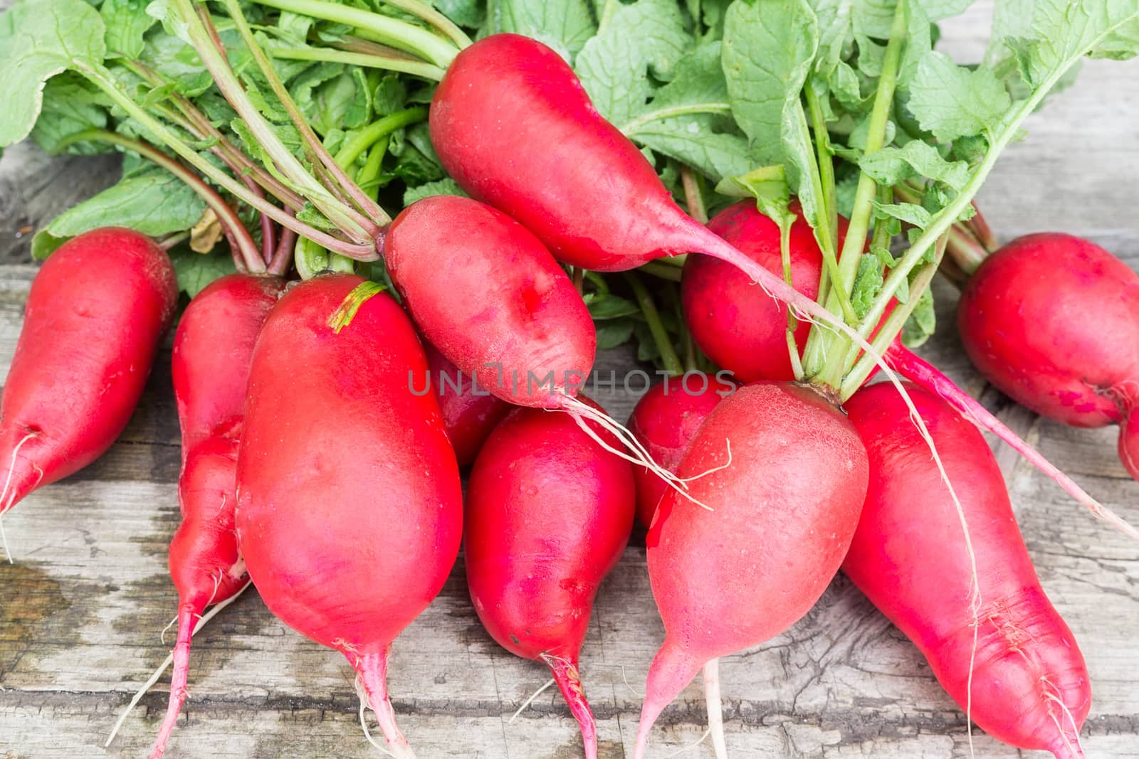 Fresh radishes on a wooden background, vegetables