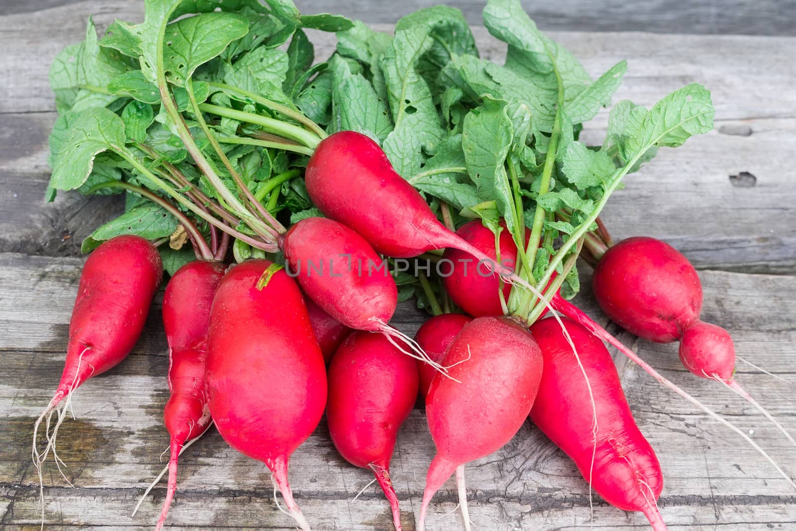 Fresh radishes on a wooden background, vegetables