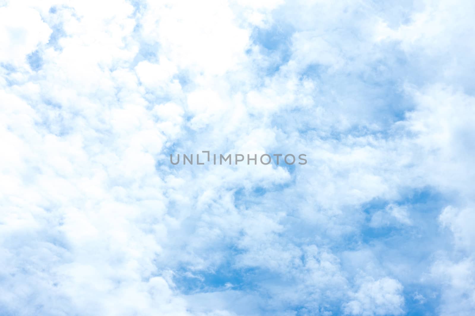 The sky in sunny summer weather, a cloudy background