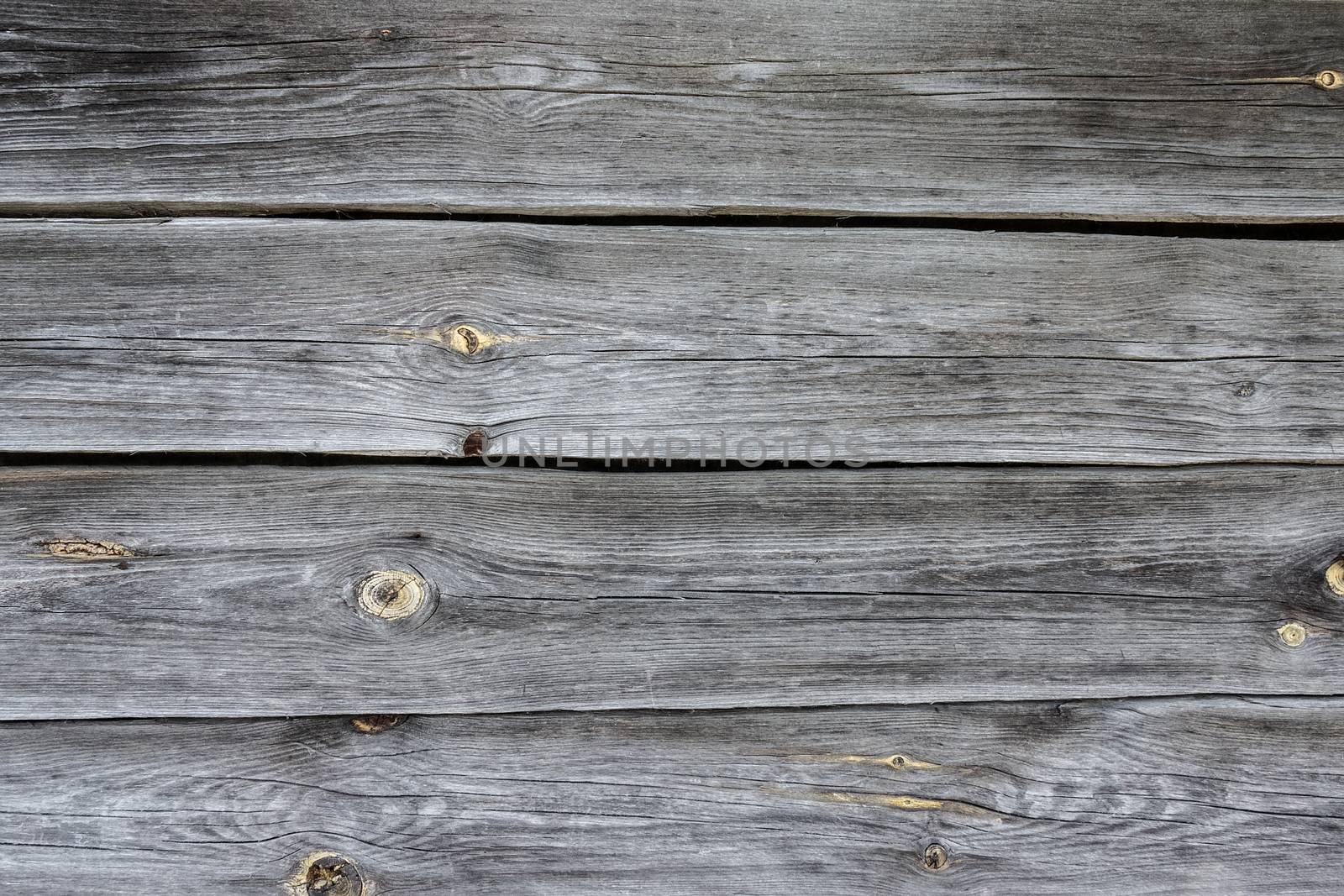 texture of bark wood use as natural background