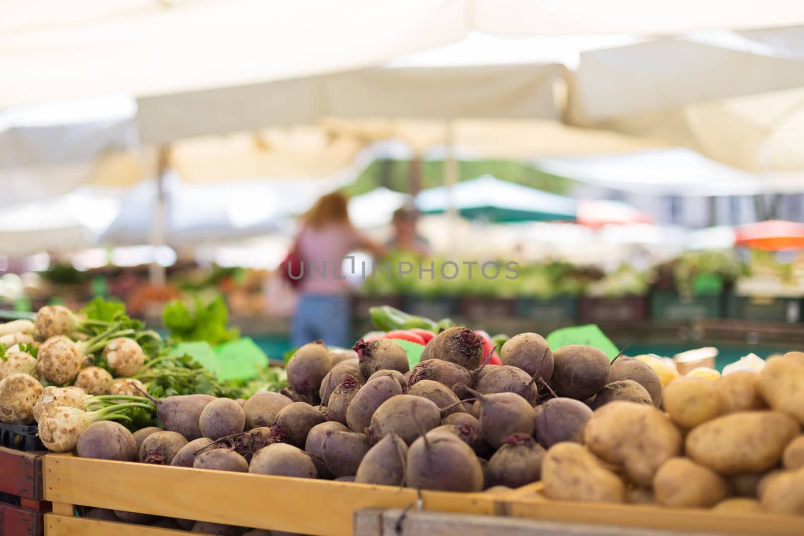 Farmers' food market stall with variety of organic vegetable. Vendor serving and chating with customers.