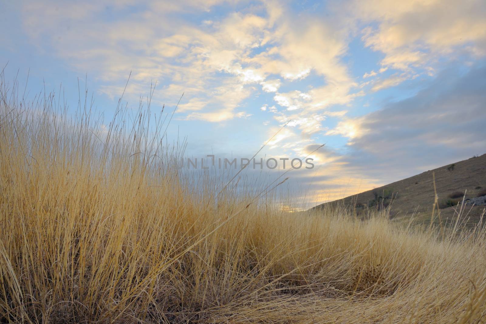 Sunrise and yellow grass on the top of the mountain