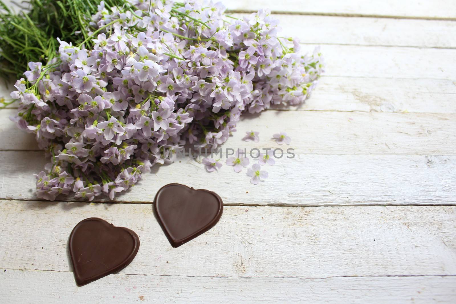 cuckoo flowers with chocolate hearts by martina_unbehauen