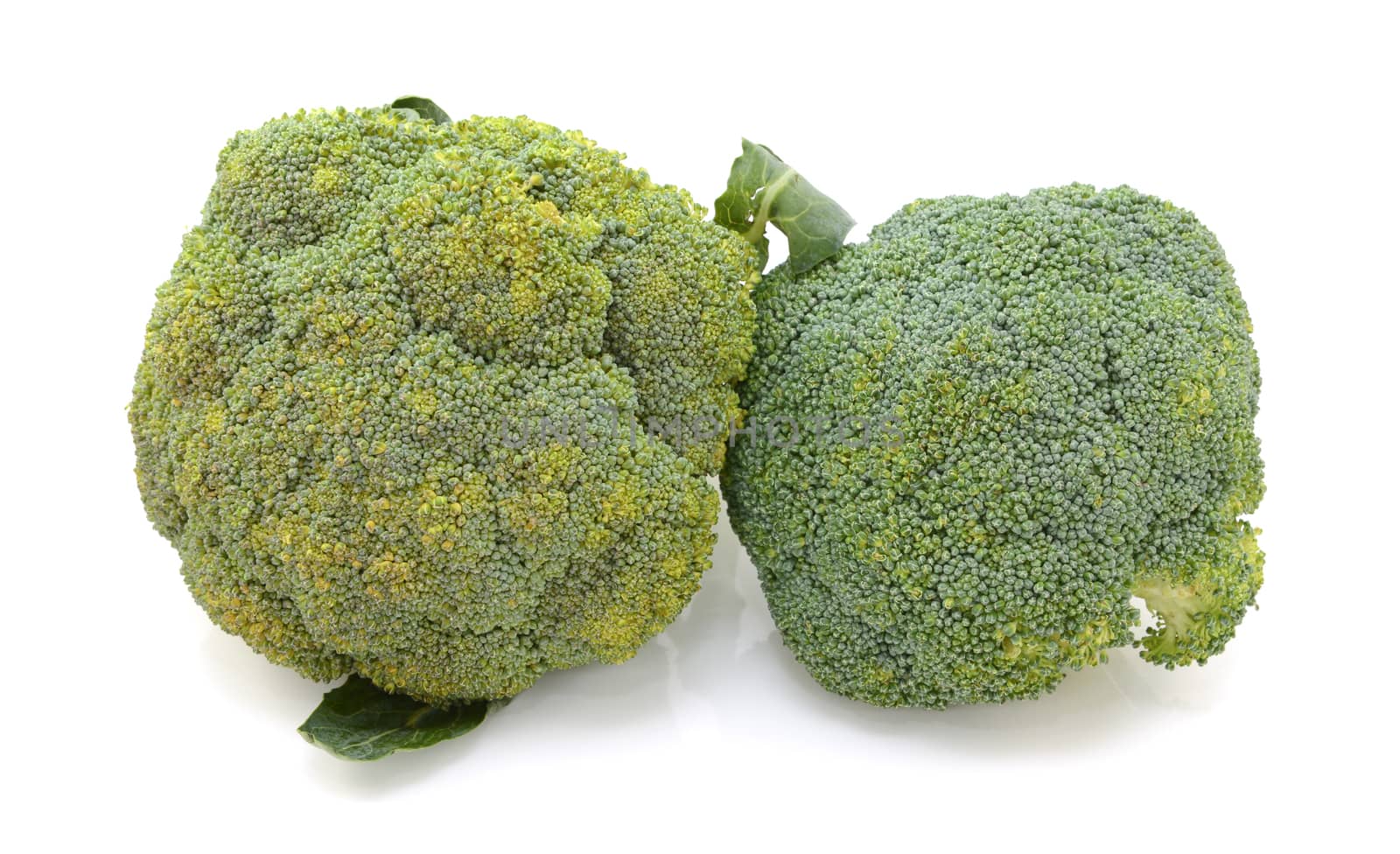 Two heads of calabrese broccoli in comparison - beginning to perish and fresh - on a white background