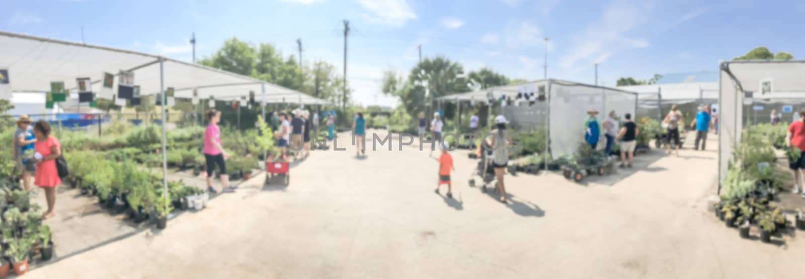 Panoramic blurry background customer shopping at plant sale late summer event in Dallas by trongnguyen