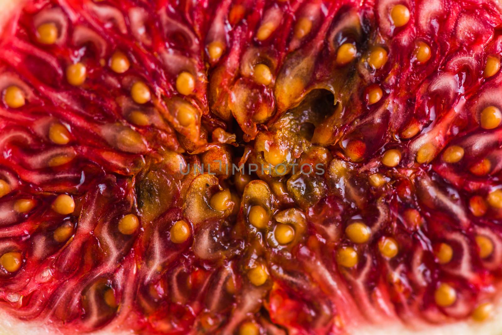 Background of ripe figs in a cut. Close up.