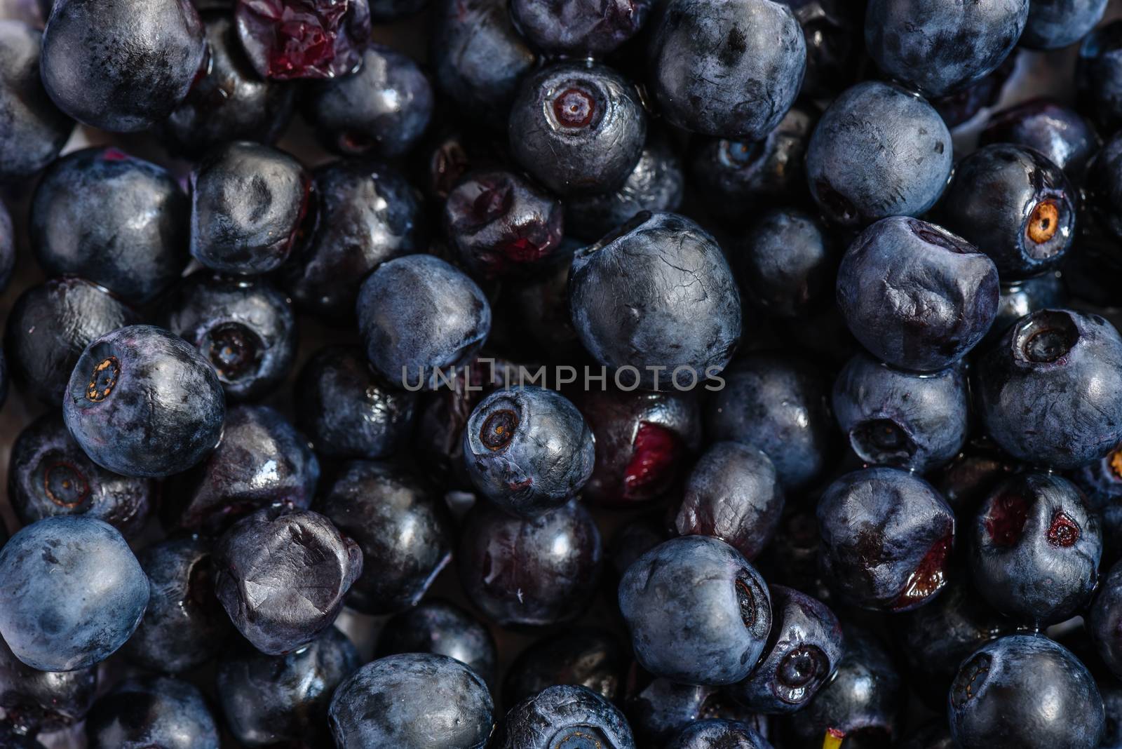 Background with ripe and fresh blueberries harvested from the garden.