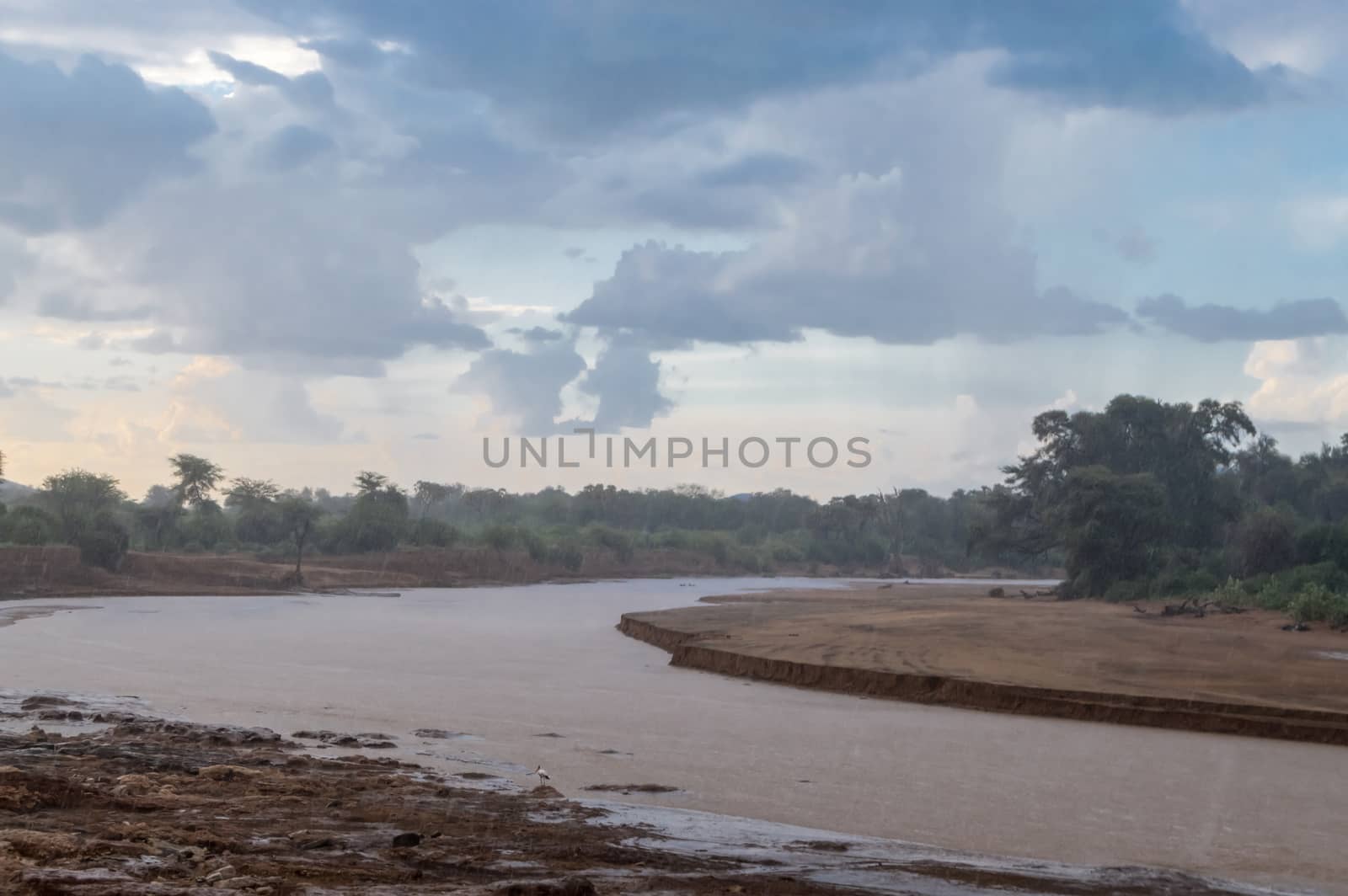 Thunderstorm on the Ewaso Ng'iro River in the savannah  by Philou1000