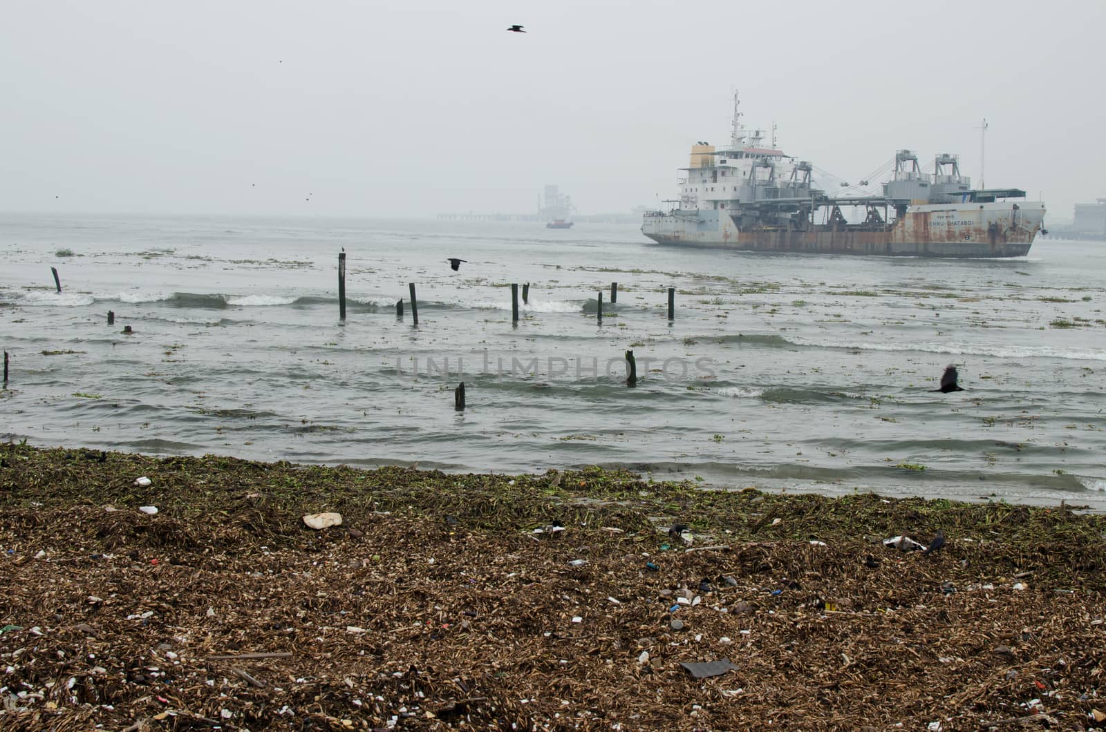 In India, Chinese fishing nets are fishing nets that are fixed land installations for fishing