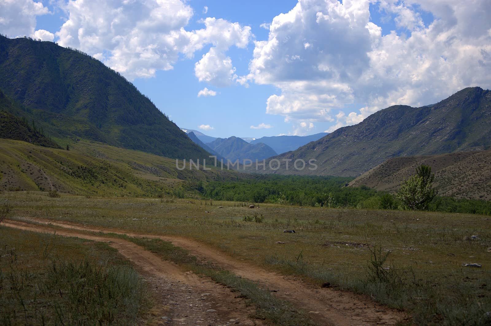 A winding field road running through the valley among the hills covered with an evergreen coniferous forest. Altai, Siberia, Russia.