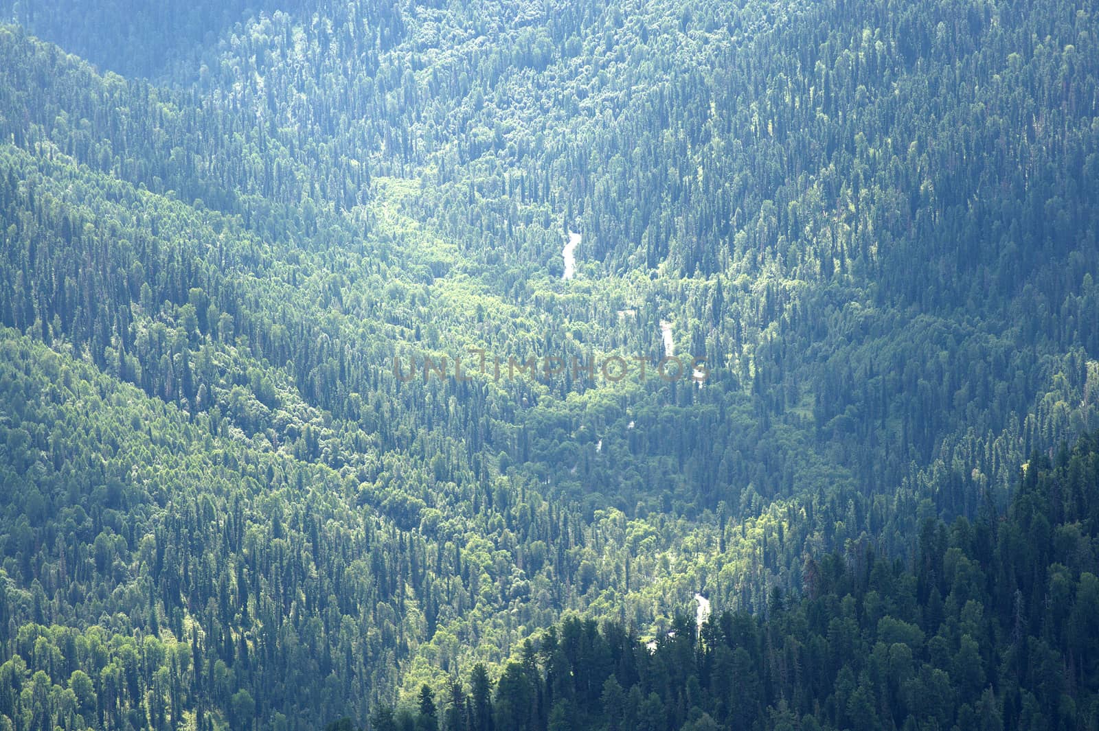 View from the top of the mountain to the river flowing through the valley at the foot of the mountains. Altai, Siberia, Russia.