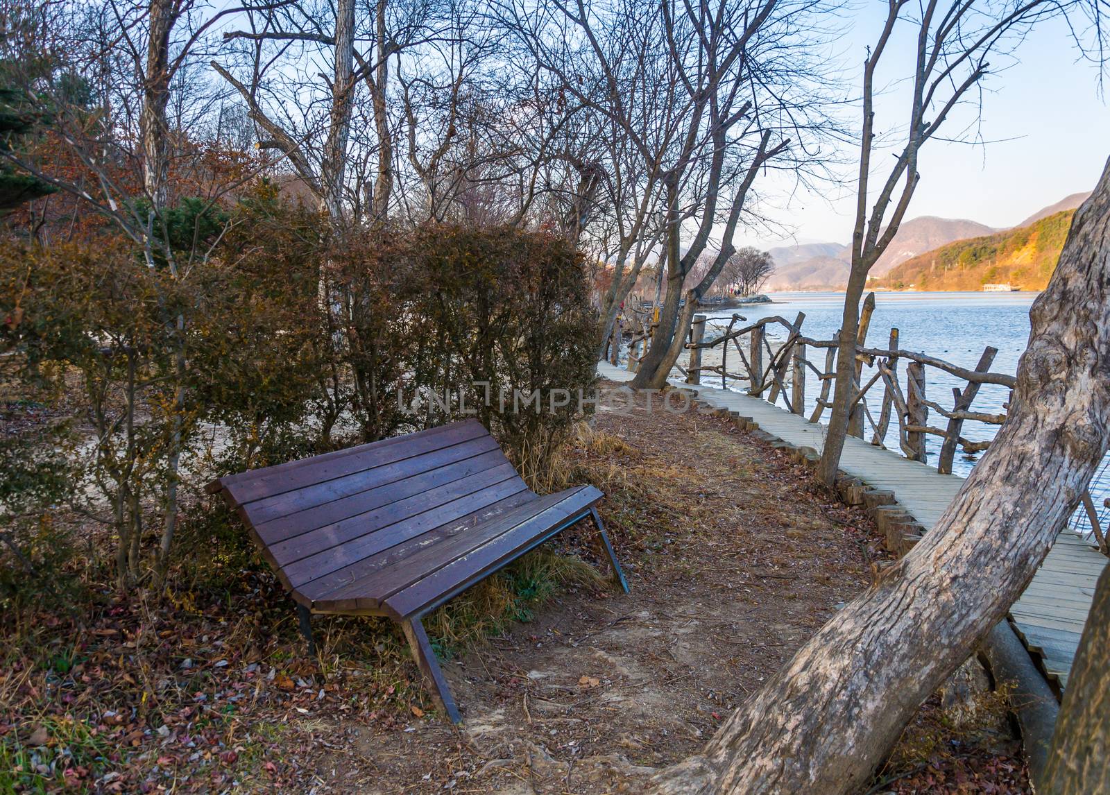 Nami Island the national park in Seoul, South korea