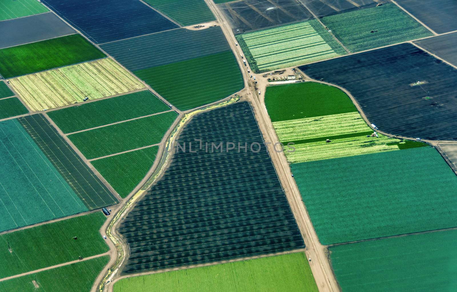 Farmland in Northern California by whitechild
