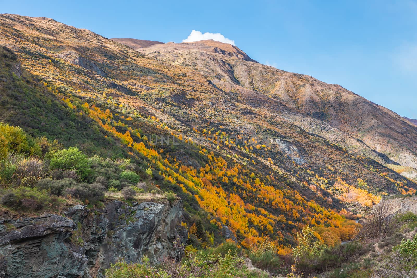 Mountains near Kawarau river, Queenstown, New Zealand by cozyta