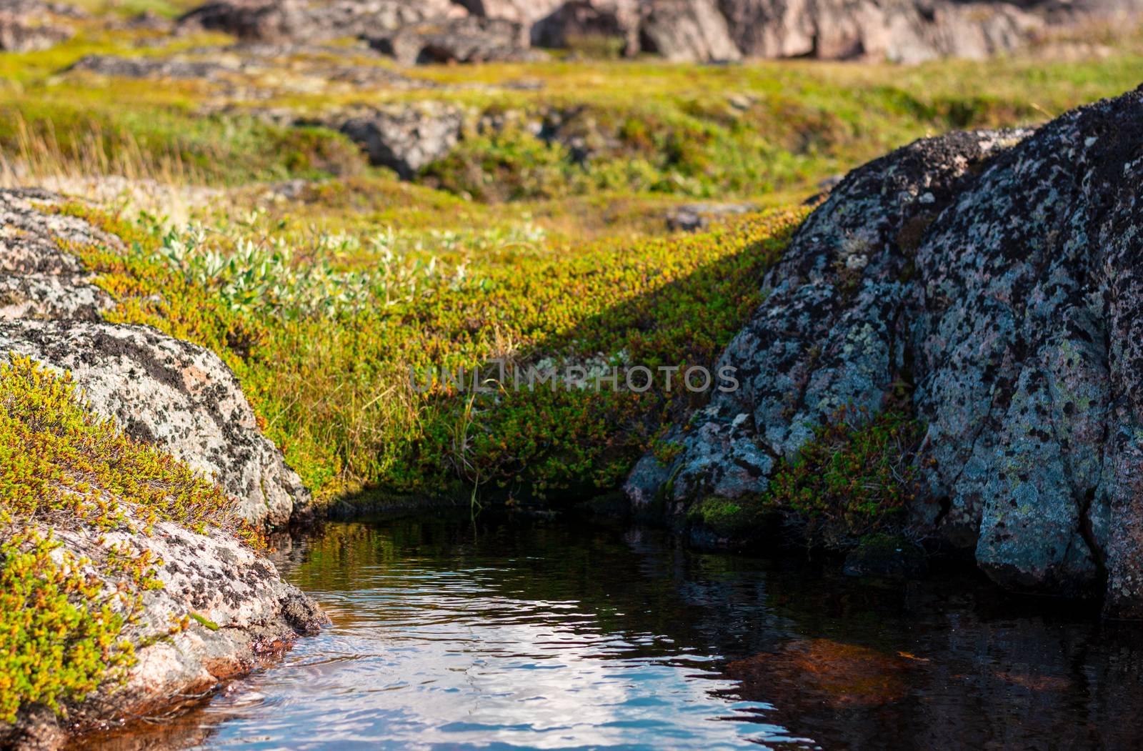 The sky is reflected in a small mountain puddle. The clear water is surrounded by moss and lichen, green grass and stones. Stone block is reflected in the pond