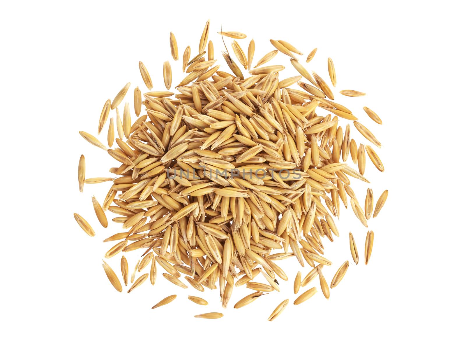 Pile of oat grains isolated on white background with clipping path. Top view