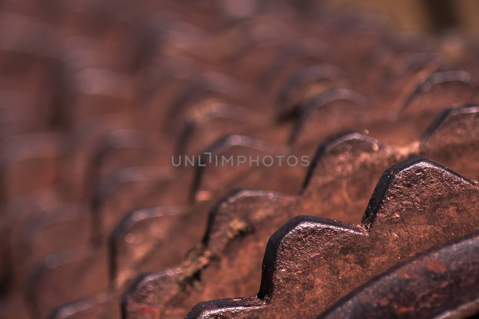 Closeup of a rusty old roller farm equipment