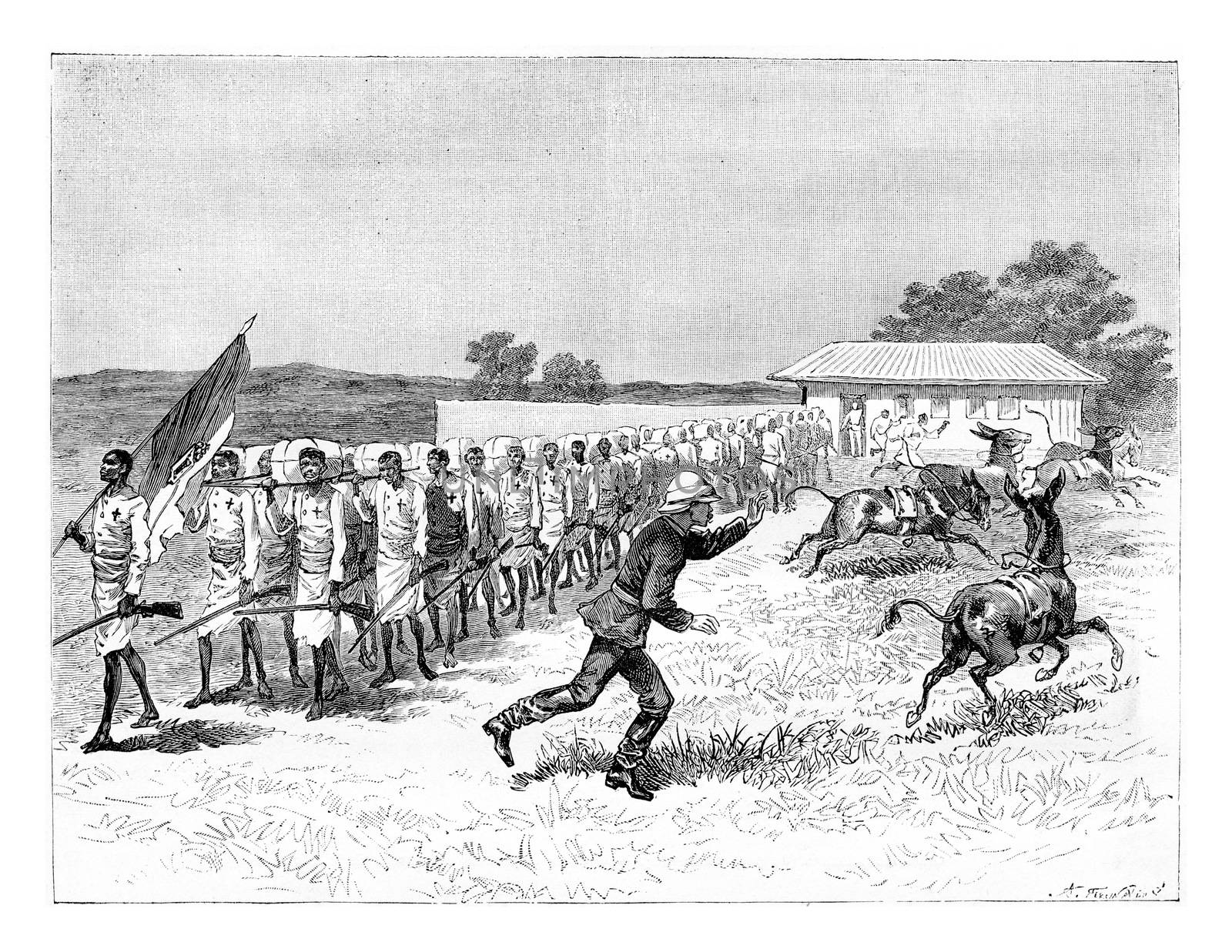 Departure of the Caravan, vintage engraving by Morphart