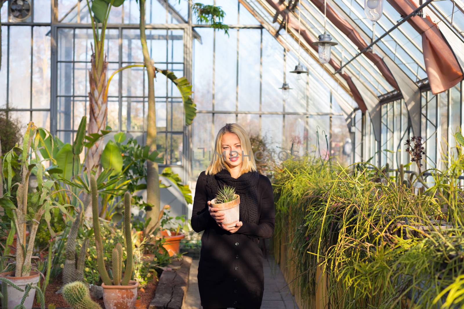 Florists woman working in greenhouse. by kasto