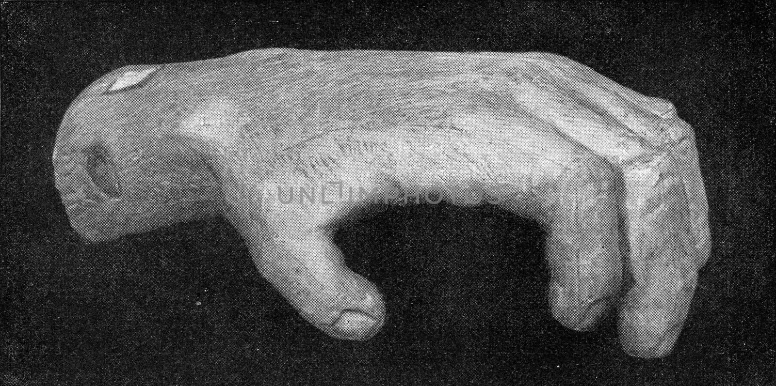 Hand of an elderly gorilla, vintage engraved illustration. From the Universe and Humanity, 1910.
