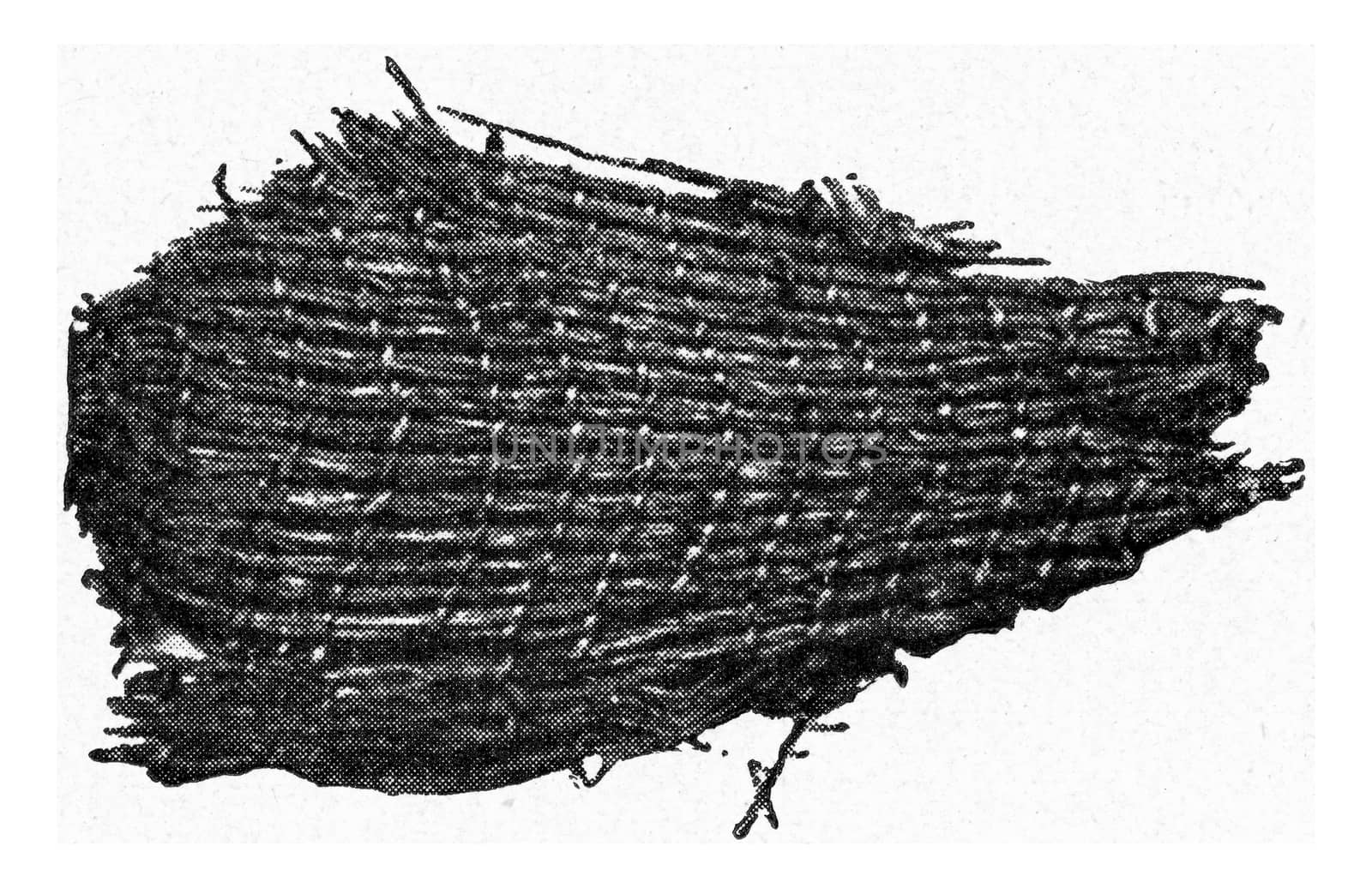 Woven grass cleaved from a stony construction on stilts, vintage engraved illustration. From the Universe and Humanity, 1910.
